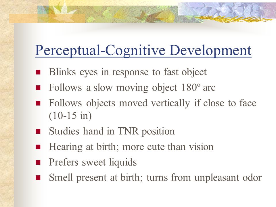 Perceptual on sale cognitive development